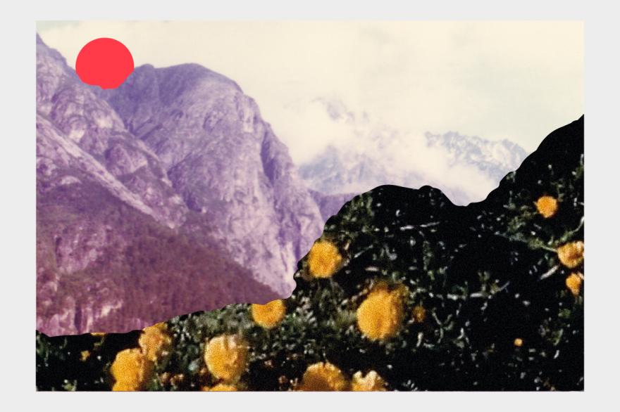 OBC Euskalduna eta Kursaaleko eszenatokira igoko da Euskadiko Orkestraren hurrengo kontzertu-programan