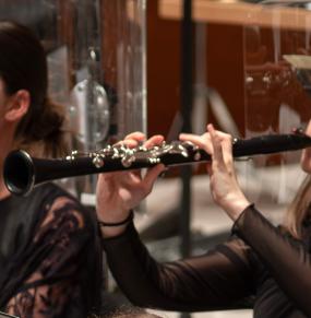 Klarinete bakarlaria